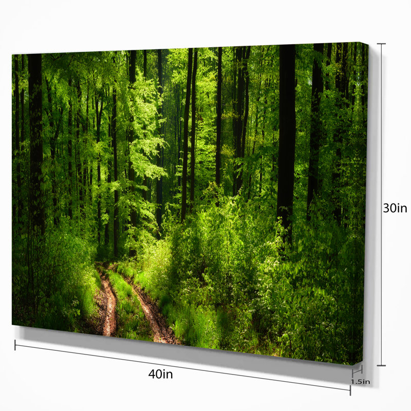 Large Green Forest Landscape Photographic Print on Canvas