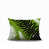 Chartreuse