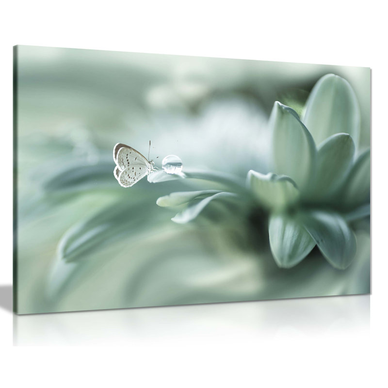 Dew Drop And Green Pastel Butterfly - Wrapped Canvas Print, 41cm H x 61cm W