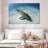 Brampt Lemon Shark Over The Seabed-107832959