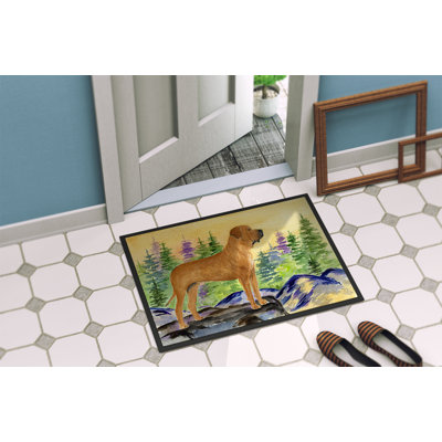 Non-Slip Indoor Doormat