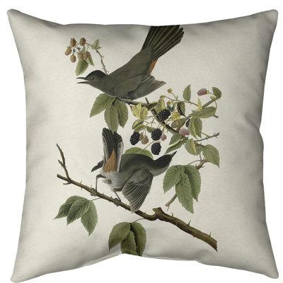 Housse de coussin en fausse oiseau pour chat