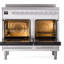 ILVE Professional Plus II 40 in Induction Range-1497320325