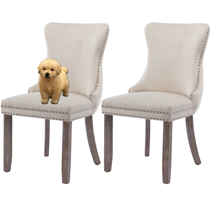 Velvet Upholstered Dining Chairs Kitchen Chairs Set of 8, Beige, 2