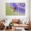 Nectar sirotant un colibri-107990758