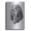 «B And T Coonhound» par Barbara Keith-1614184472