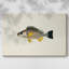 Toile tendue avec collection Tropical Fish Collection III