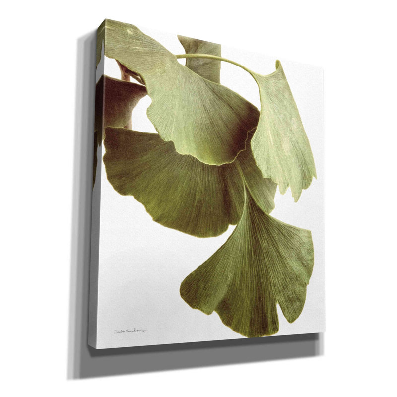 «Ginko Color on White» par Debra Van Swearingen, art mural sur toile, H 30 po x l 26 po x P 1,5 po