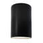 Ambiance Collection™ LED Outdoor Flush Mount-1711879455