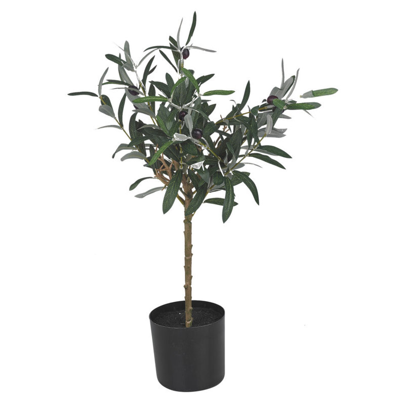 Anssi Pot Planter