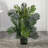 Paradise Palm Artificial Tree