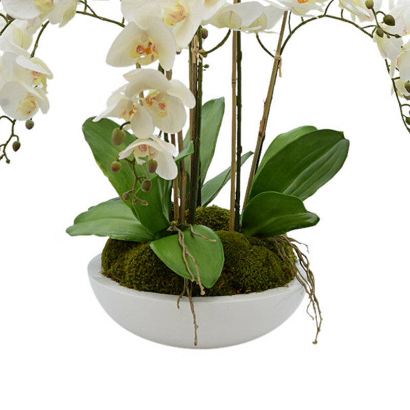 Orchid Arrangement in Round Fiberstone Pot