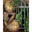 Ensemble de sculpture en polystone-970848544