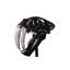 Saber Tooth Tiger Skull