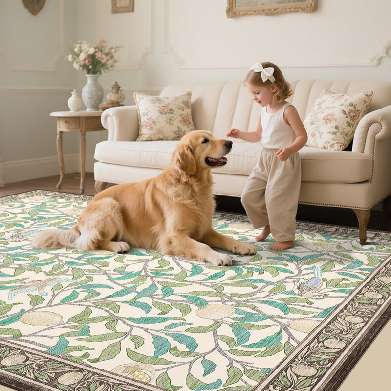 Area Rugs for Living Room, Washable Rugs  Soft Foldable Print Floor Mats Non-Slip Farmhouse Low Pile Stain-Resistant Vintage Carpet for Bedroom, Nursery, Home Office