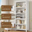 181.2cm H x 80cm W Standard Bookcase