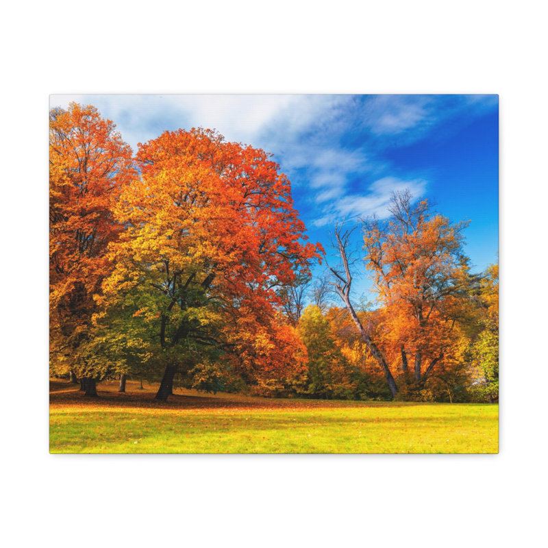 No Frame Print on Canvas