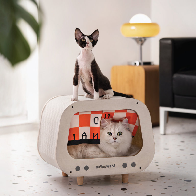 Cinya Pet Bed, White, Large (11'' L x 18'' W)