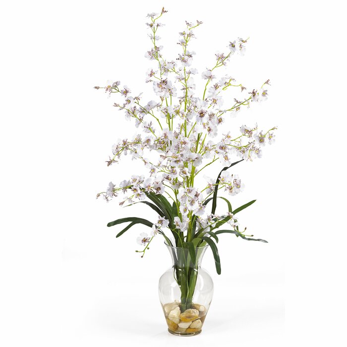 Primrue Orchid Arrangement in Vase & Reviews | Wayfair