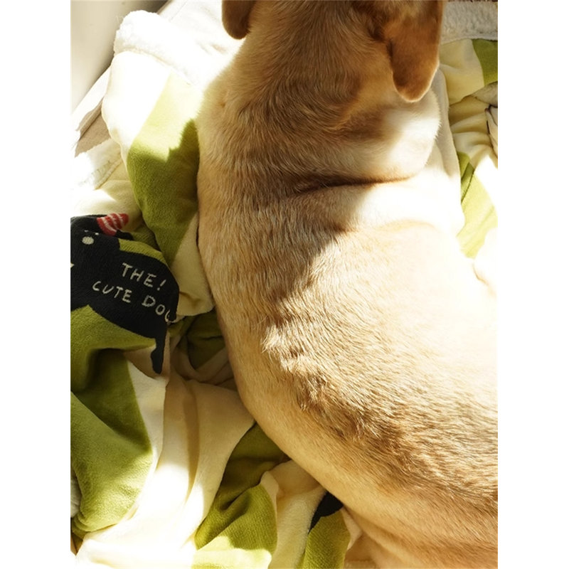 Couverture en flanelle épaisse pour animaux de compagnie