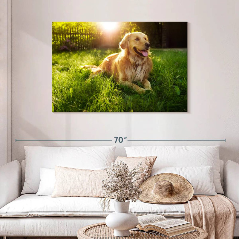 Golden retriever Brampt ensoleillé, H 30 po x l 45 po