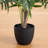 Artificial Areca Palm Tree-324822244