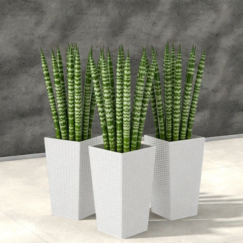 Spacious White Planters Set, Durable Polyethylene For Modern Decor