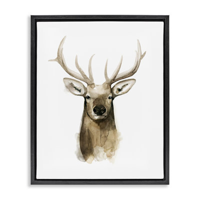 Portrait de cerf, aquarelle