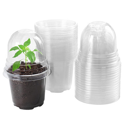 Vase de table Reola