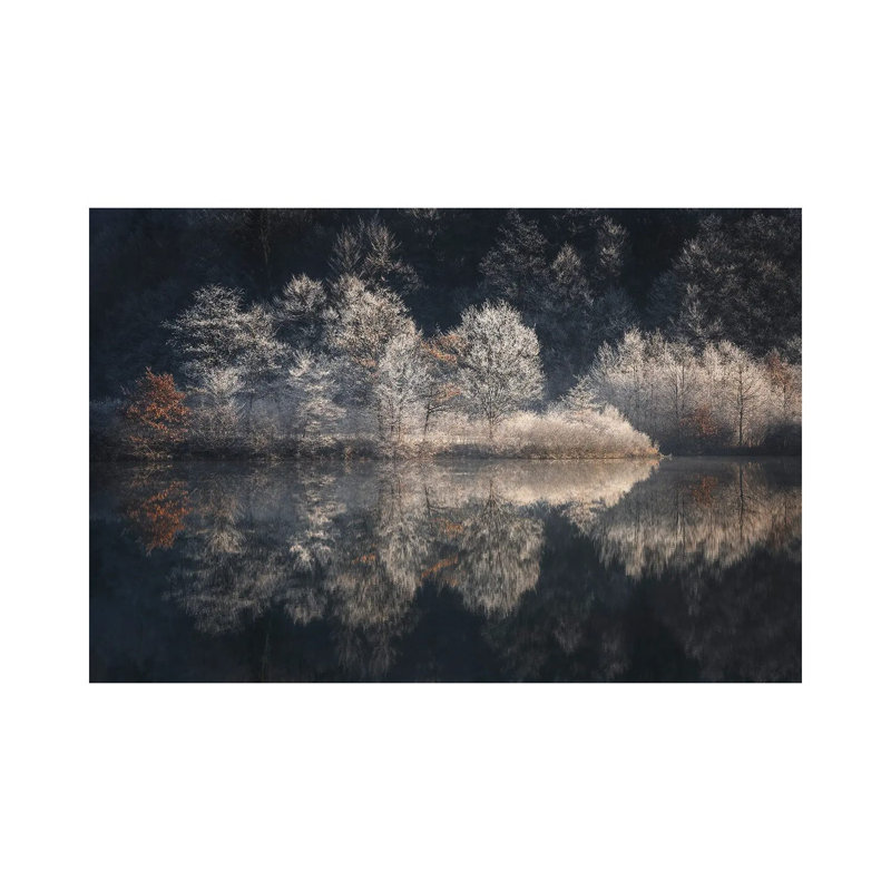Morning Light by Kristjan Rems - Gallery-Wrapped Canvas Giclée on Canvas, Canvas, 20.32 cm H x 30.48 cm W