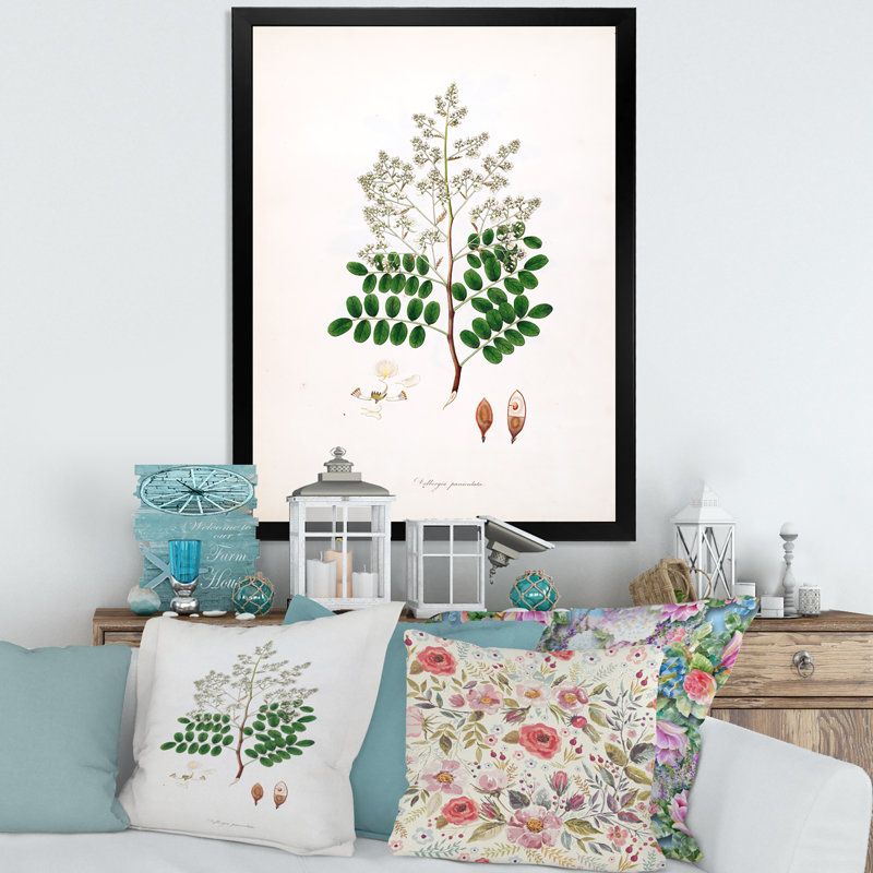 «Vintage Botanicals» - Peinture sur toile, H 20 po x l 12 po x P 1po, Cadre photo noir