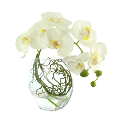 Whisman Orchid Arrangement in Round Glass Vase with Vines
