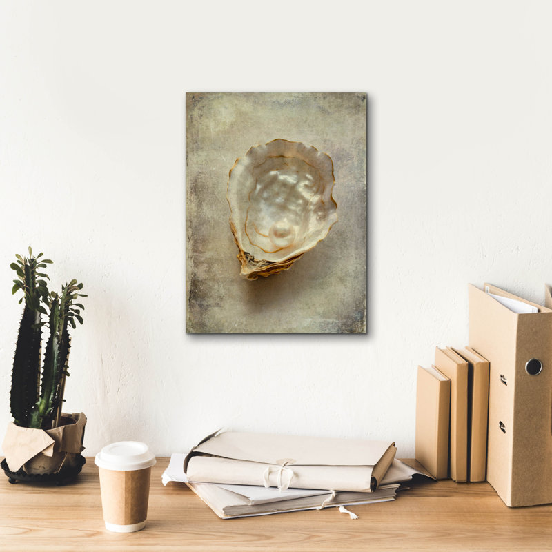 «Vintage Shell» par Svetlana Aleynikova, art mural sur toile, H 16 po x l 12 po