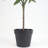 Faux Olive Tree Tree in Pot Liner-748669070