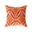 Velvet Throw Square Pillow Cover & Insert