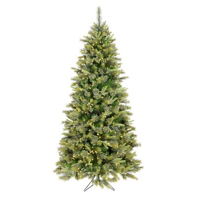 Cashmere Green Pine Artificial Christmas Tree with 900 Dura-Lit Clear Lights with Stand -  The Holiday Aisle®, 4E74D68F73704DD5ADBCBD9D6DA4CBF1