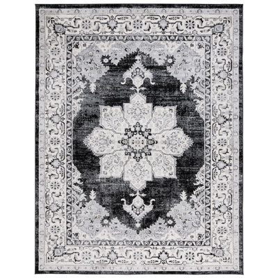 Damyon Performance Oriental Rug