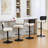 Adjustable Height 360° Swivel Bar Stools With Upholstered Back-271333134