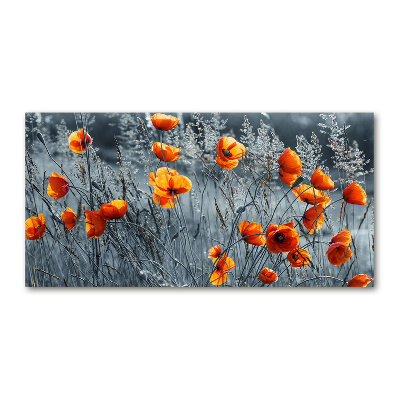 Field Poppy - Wrapped Canvas Print, Canvas, 50cm H x 100cm W