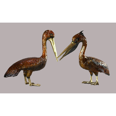 Pelican Edwin