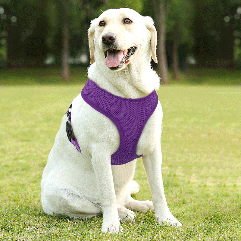 Harnais pour chien en maille, harnais anti-traction ajustable et rembourré avec anneau en D et boucle pour chiens, Mauve
