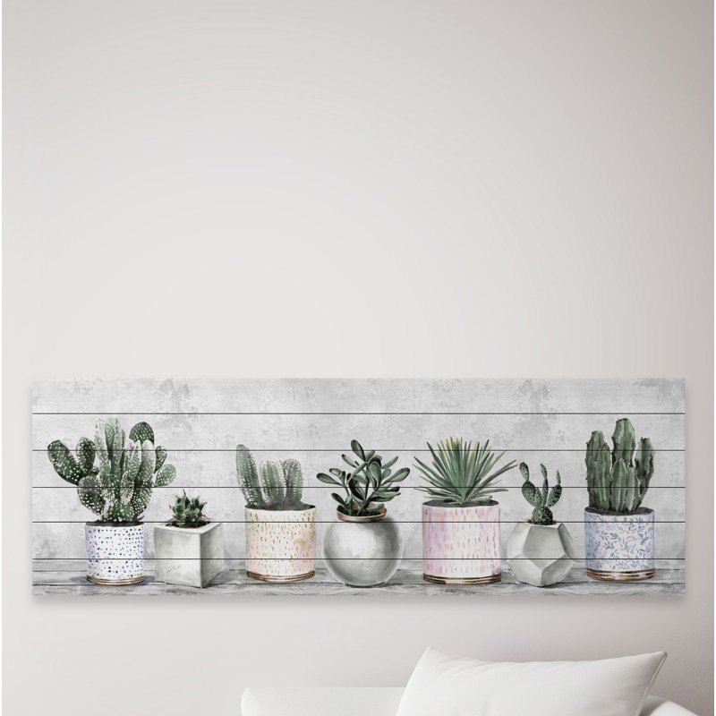 Impression encadrée « indoor succulents », H 15 po x l 45 po x P 1,5 po