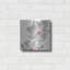 «Gray Blush Cosmos II» par Chris Paschke-1625134340