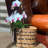3 Piece Striped Plant Wicker Baskets