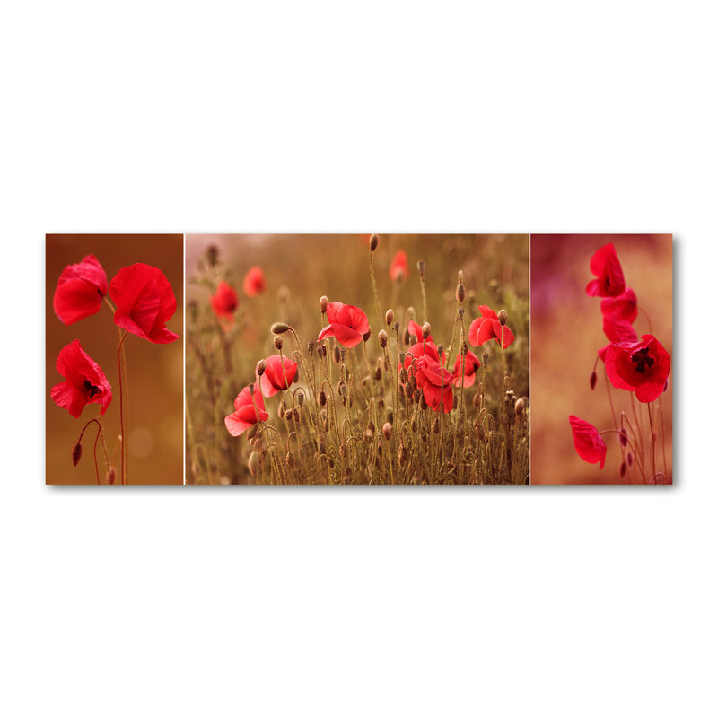 Poppy Triptych - Wrapped Canvas Print