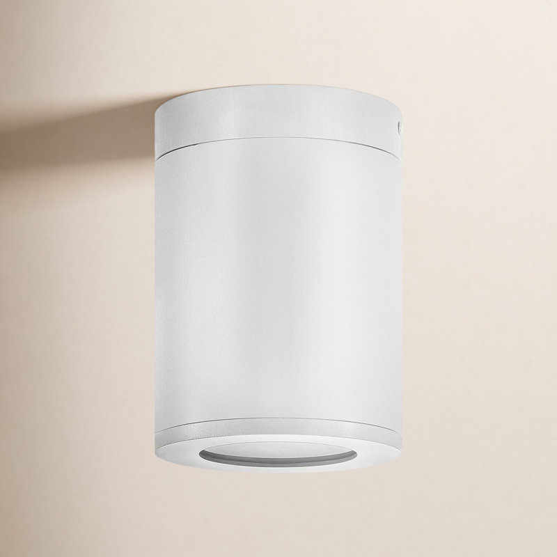 Plafonnier encastré d'extérieur 1 ampoule Brissia, Blanc satiné