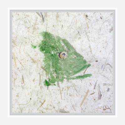 Snapper Green Print by John Beard
