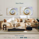 Natulilus Shell Ebern Designs Empty Nautilus Shell - Wayfair Canada