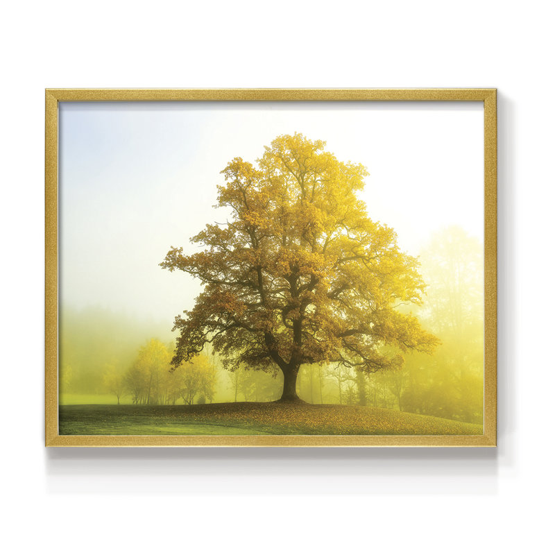 The Sentinel -Framed Print - Restickable