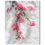 Santorini Blush Print by Oliver Gal-70375969-70375978